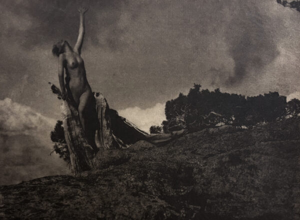 A black and white photo of a tree on top of a hill.