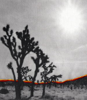 A black and white photo of trees in the desert.