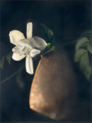 A pear with flowers in it's vase.