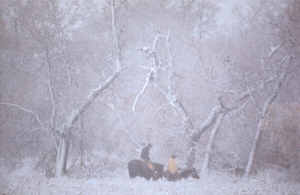 A group of people sitting on top of a horse in the snow.