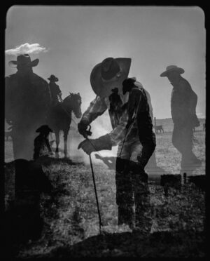A man standing in the grass with two horses.