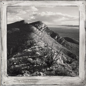 MICHAEL BERMAN. 96f_105_01  Robledo, New Mexico