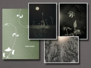 SARA SILKS. 023 Book