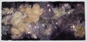 EDDIE SOLOWAY. Impression 2, 2025