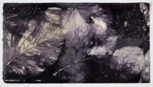 EDDIE SOLOWAY. Impression 3, 2025