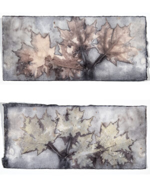 EDDIE SOLOWAY. Impression 4 & 5, 2025