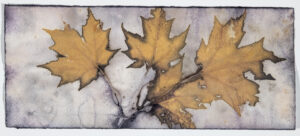 EDDIE SOLOWAY. Impression 6, 2025