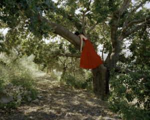 RANIA MATAR. Lara C. (On the Tree She Climbed as a Child), Koura, Lebanon, 2021