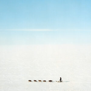 BRIAN ADAMS.  A dog team on the frozen Kotzebue Sound, Kotzebue, Alaska. 2016