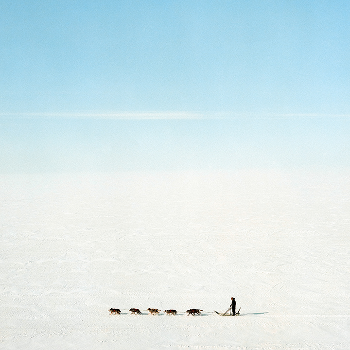 BRIAN ADAMS. A dog team on the frozen Kotzebue Sound, Kotzebue, Alaska. 2016