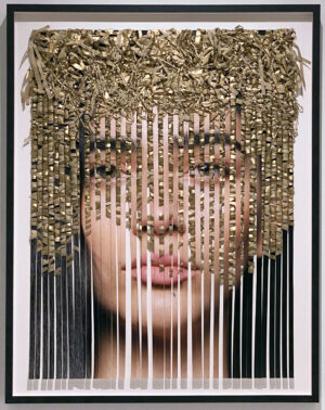 The Disassemble Series