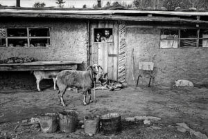 LYNN ADLER. Marty and Gloria adobe home