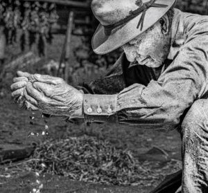 LYNN ADLER. Theodoros beans