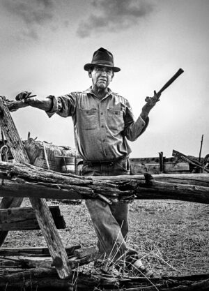 LYNN ADLER. Freds hammer and nail