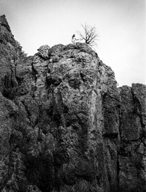 LYNN ADLER. Sherie on the edge