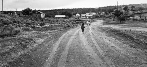 LYNN ADLER. The Road into town