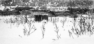 LYNN ADLER. Snow in the corral