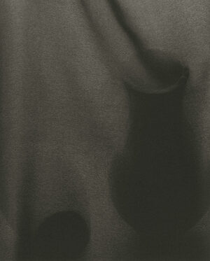 LYNN STERN.  Veiled Still Life #46b, 2002