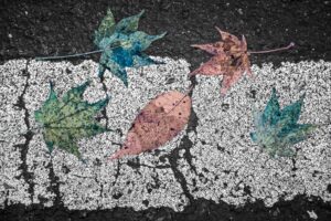 NEVADA WIER. Japan. Roadkill. 2023