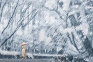 NEVADA WIER. Japan. Ise Shrine Kannamesai. (Rice Harvest Festival). 2024