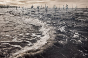 NEVADA WIER. Sri Lanka. Dalawella Village.Stilt Fishermen.2010
