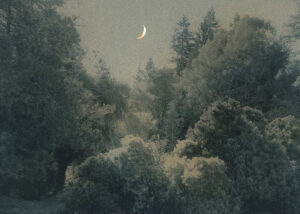 SARA SILKS. Waxing Crescent