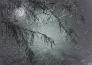 SARA SILKS. Water's Edge