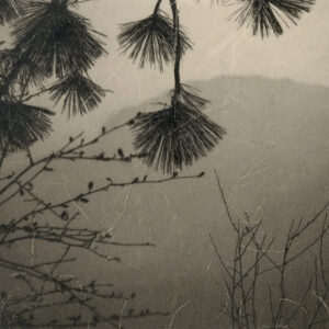 SARA SILKS. Shosai 1 (detail 1)