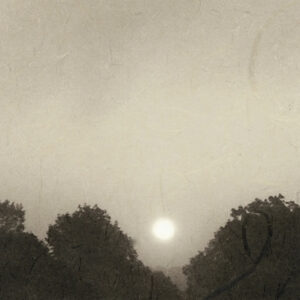 SARA SILKS. Hinode (sunrise)