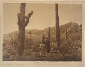 EDWARD CURTIS, Hasen Harvest Qahatika, 1907